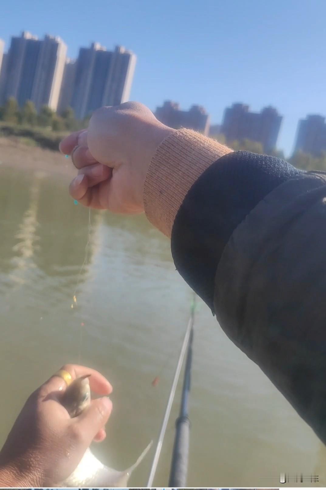 动态诱鱼其实比气味诱鱼更科学，效果更好。
首先气味诱鱼的效率其实很低，因为气味在