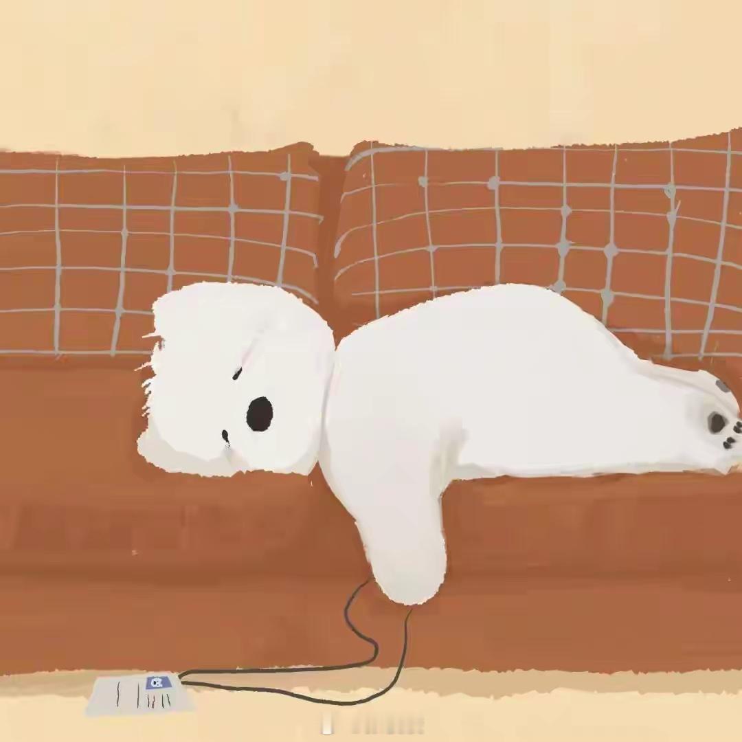 三点多醒来到现在没睡着，满脑子都是中国新能源汽车卷完A0级、卷完轿跑、卷完大六座