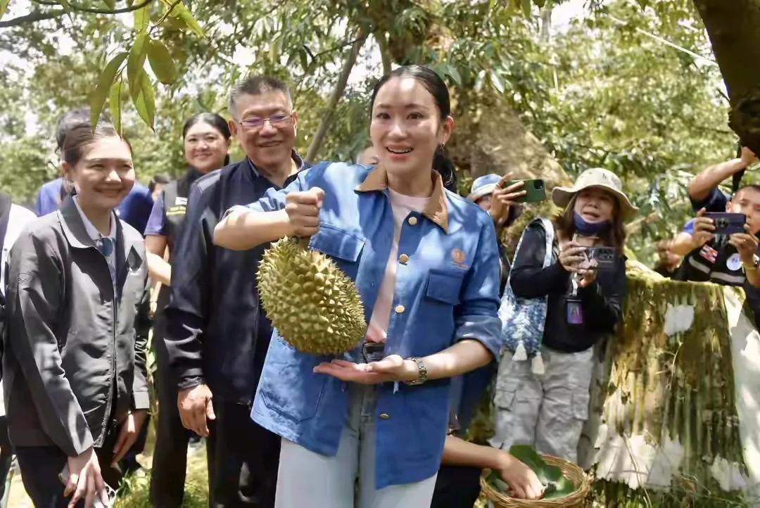 佩通坦助力经济，开启榴莲带货之旅。2024年，泰国97%的榴莲销往中国，其年出口
