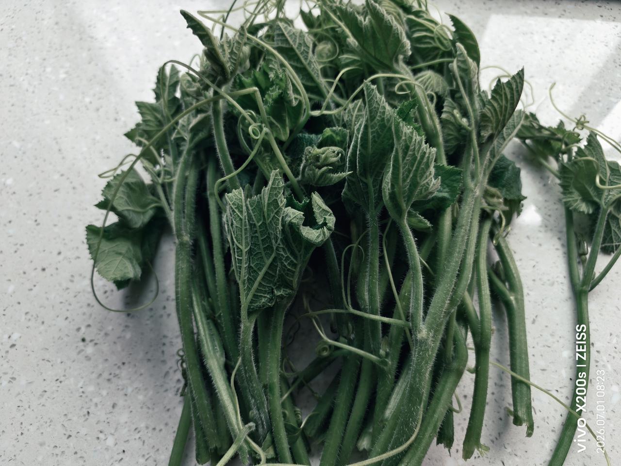 龙头菜怎么吃才健康?去皮洗净焯水凉拌小炒都好吃，因其不打农药，吃起来更健康。