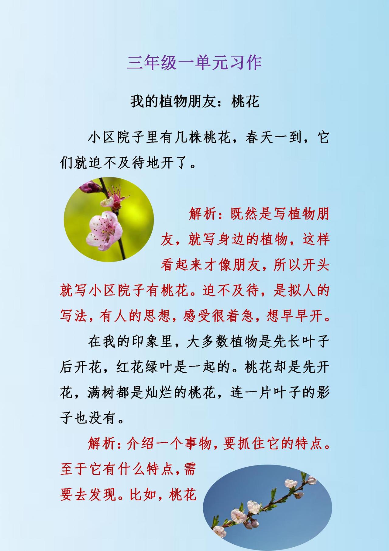 作文好词好句学习：树影和夜色粘在一起。
这个“粘”字用得特别好。“粘”字在这个句
