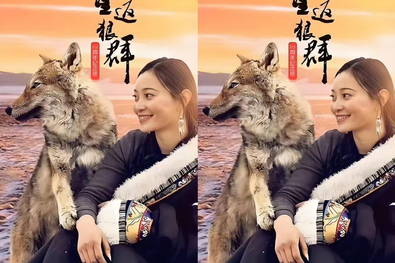 16岁狼王格林仍健在！与人类妈妈的跨物种深情，藏着最动人的守护
 
2026年最