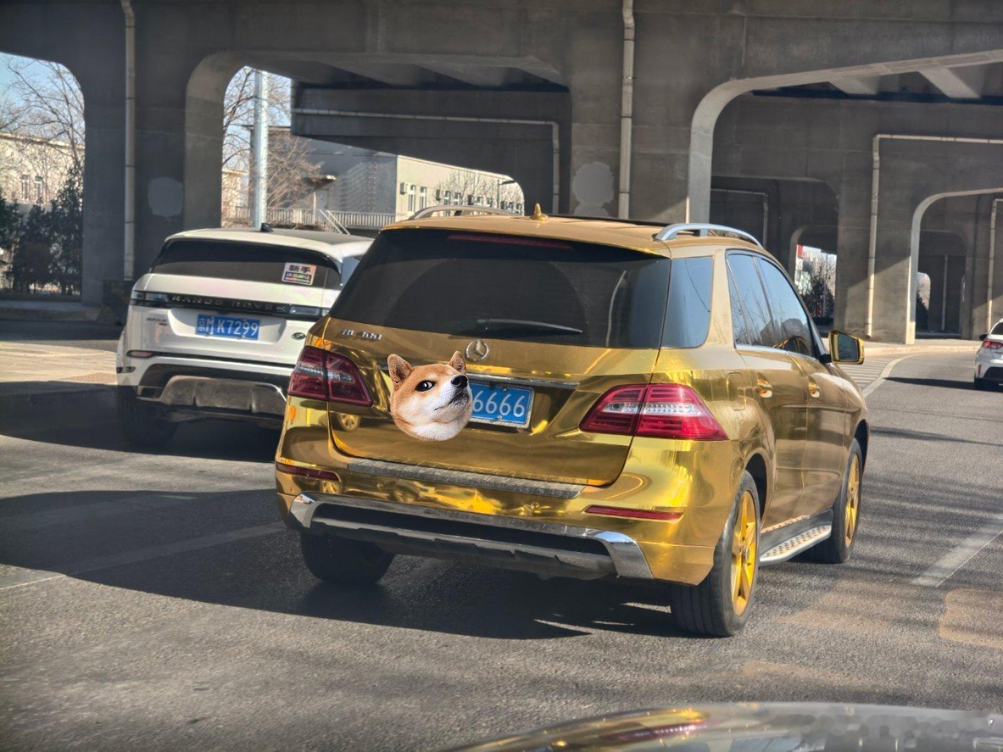 这车牌配这黄金膜倒是也还可以 