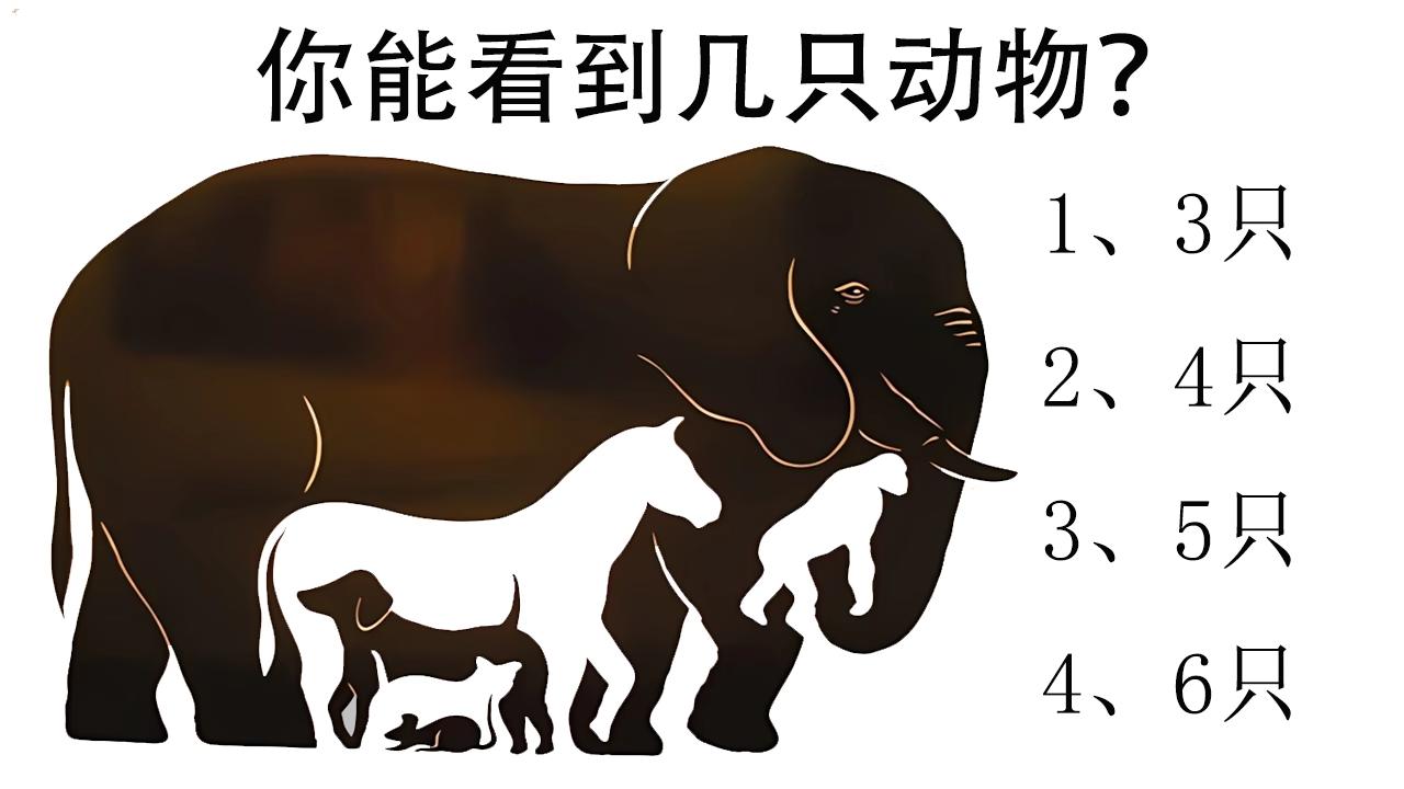 测测你的观察力！