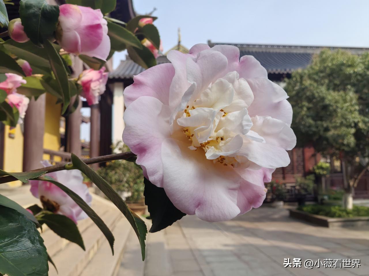 走在春天的路上，忽然想起我一个故去多年的同事，生命定格在29岁的冬天，让人唏嘘不