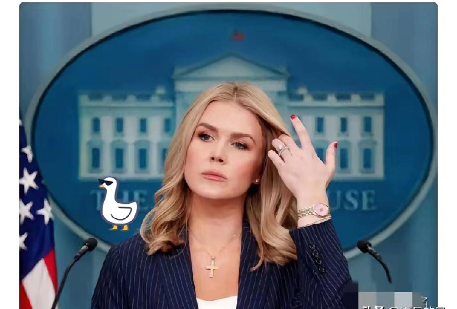 收到，直接上十分版本。这次不绕弯子，每一段都扎扎实实，去掉所有虚浮的东西，让读者