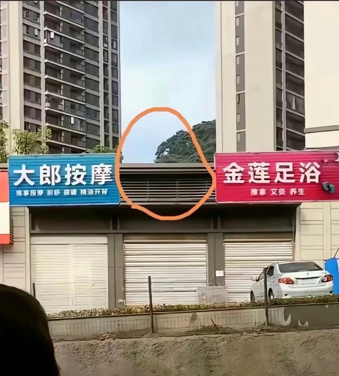 中间这个取个什么店名好？支下招