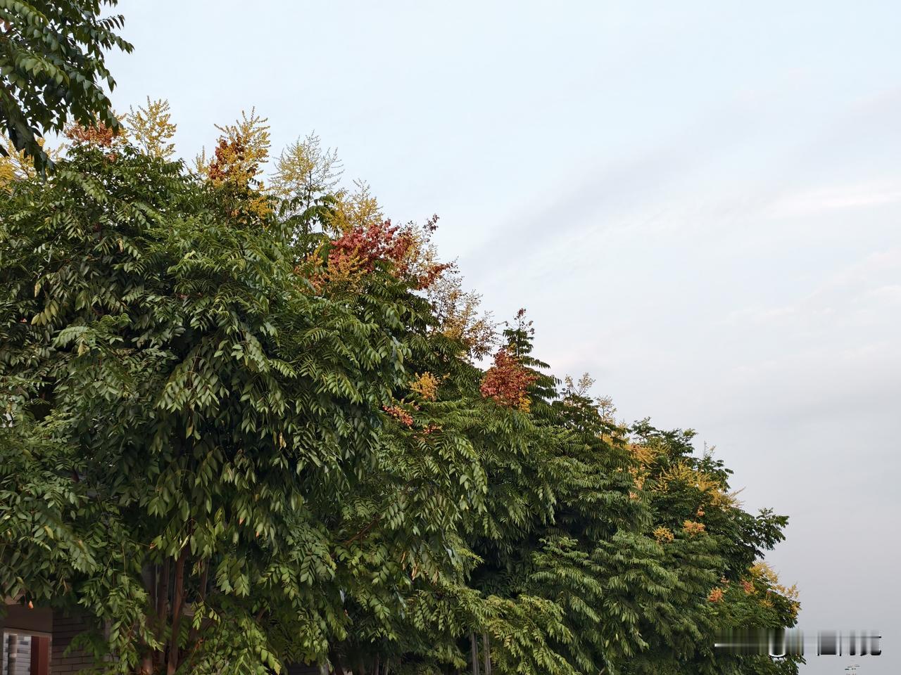 这个故事能看懂的是高人

神灯：你现在有三个愿望。

我：我希望世界上再也没有贪
