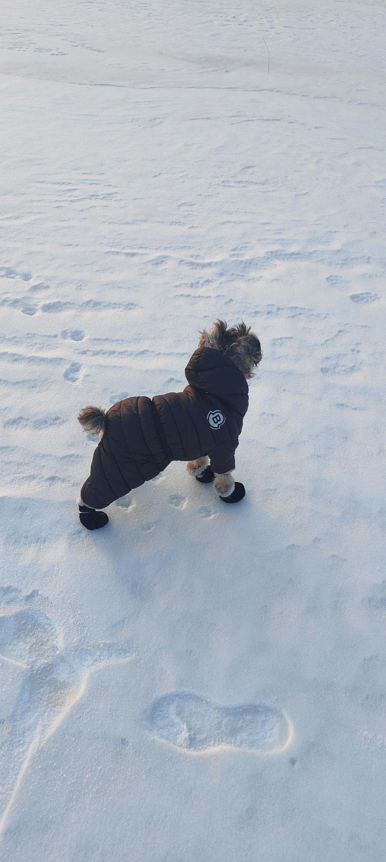 你能用一句话概括什么是幸福吗幸福就是家人平安无忧无虑，身体健康快乐。