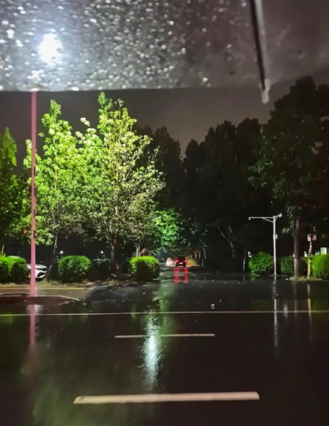 下暴雨的一天🌧️
我的城市一直在下雨 我的城市下雨了