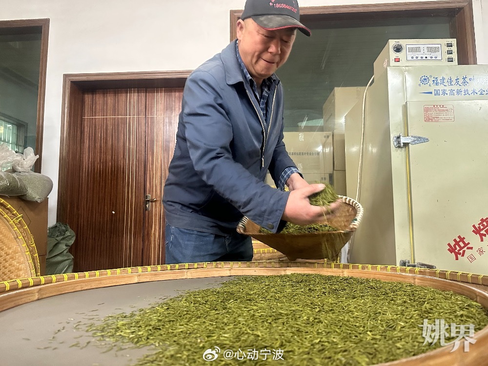 余姚茶梅共生新模式生态致富两不误 余姚牟山镇湖山村宋杨杰深耕农业30余年，探索茶