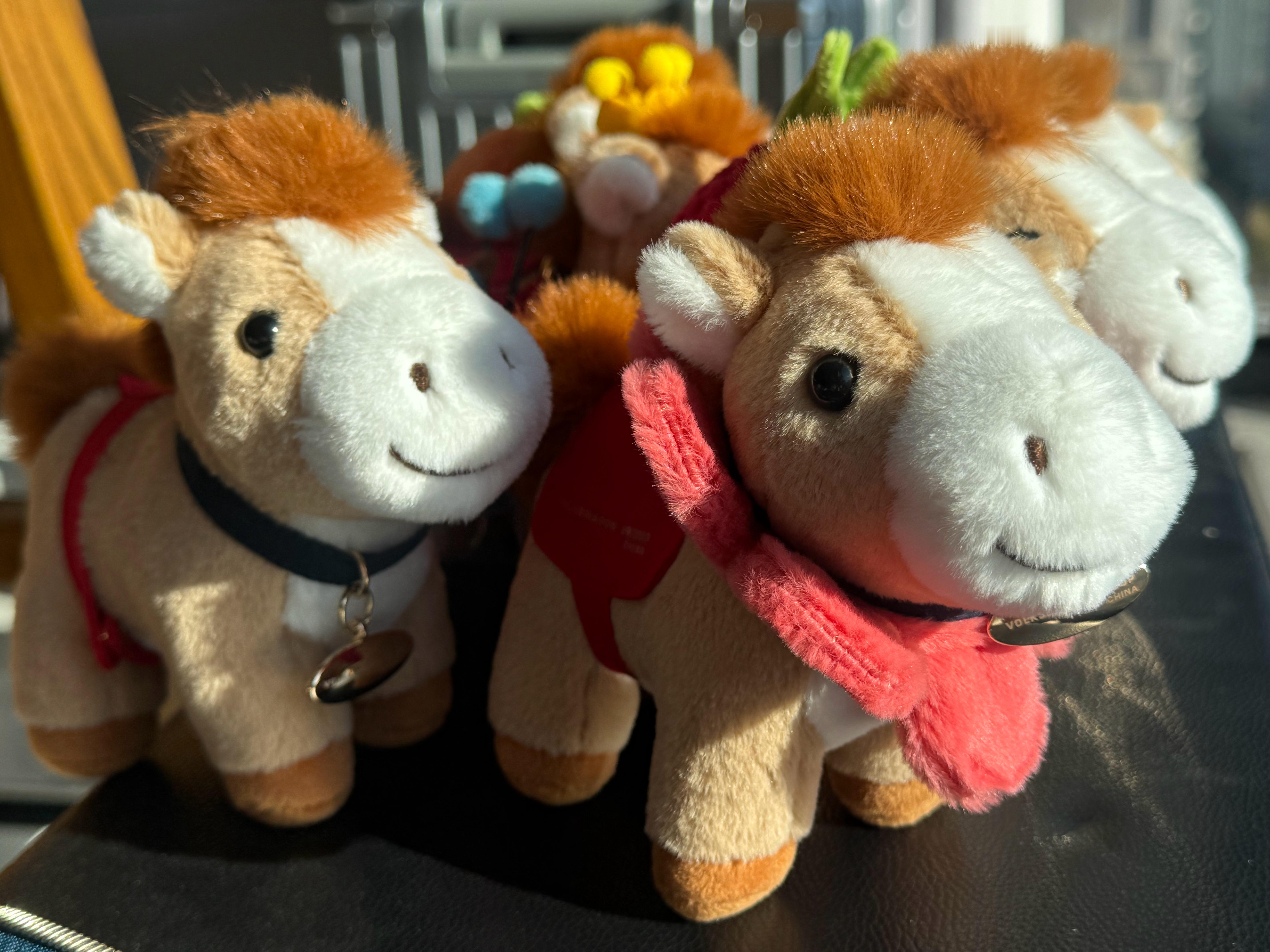 哎🐎！一起念！不许换气～它们叫，马biubiu、马花花、马飞飞、马果果、马心心