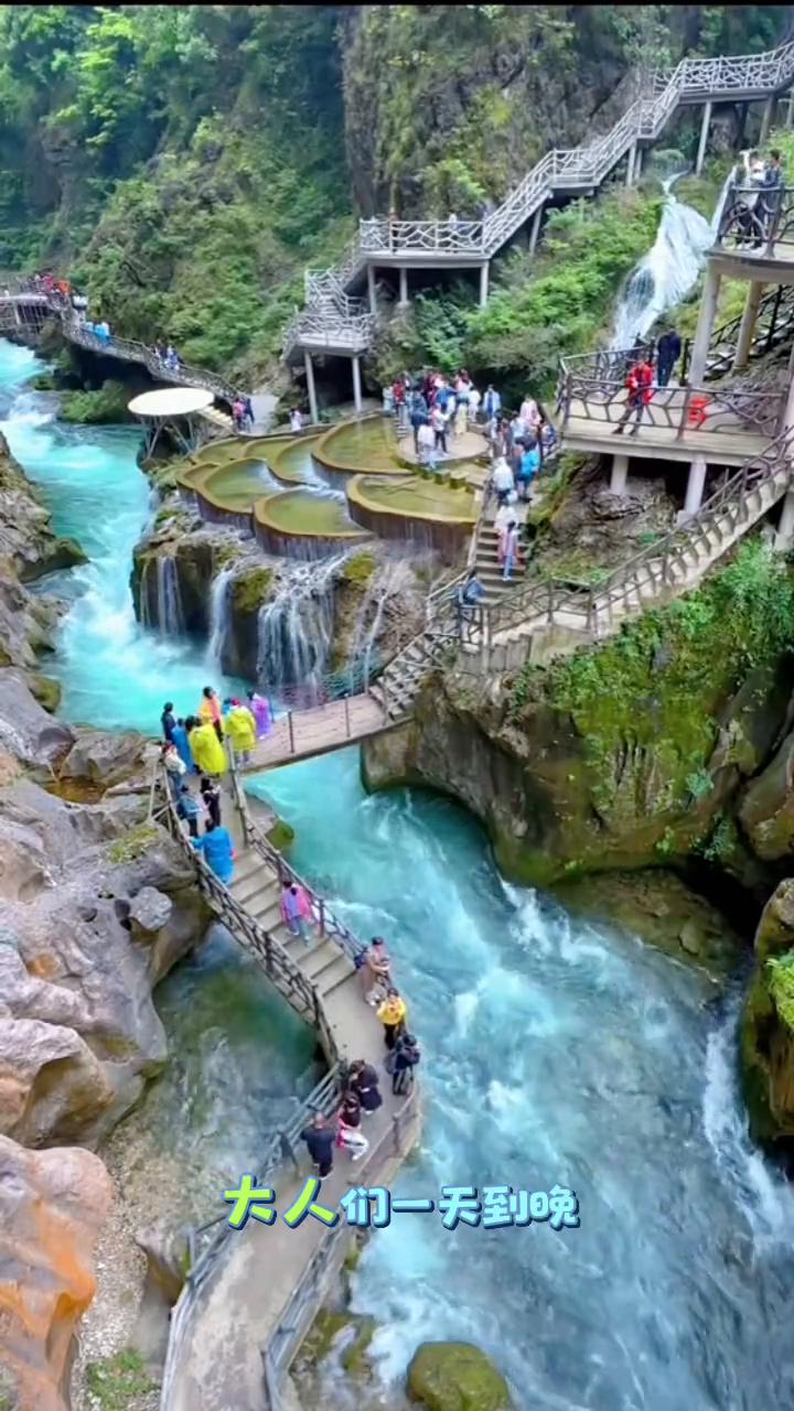 整个社会的规律好像就是：大人们一天到晚忙着挣钱，小孩们一天到晚忙着学习。大人们挣