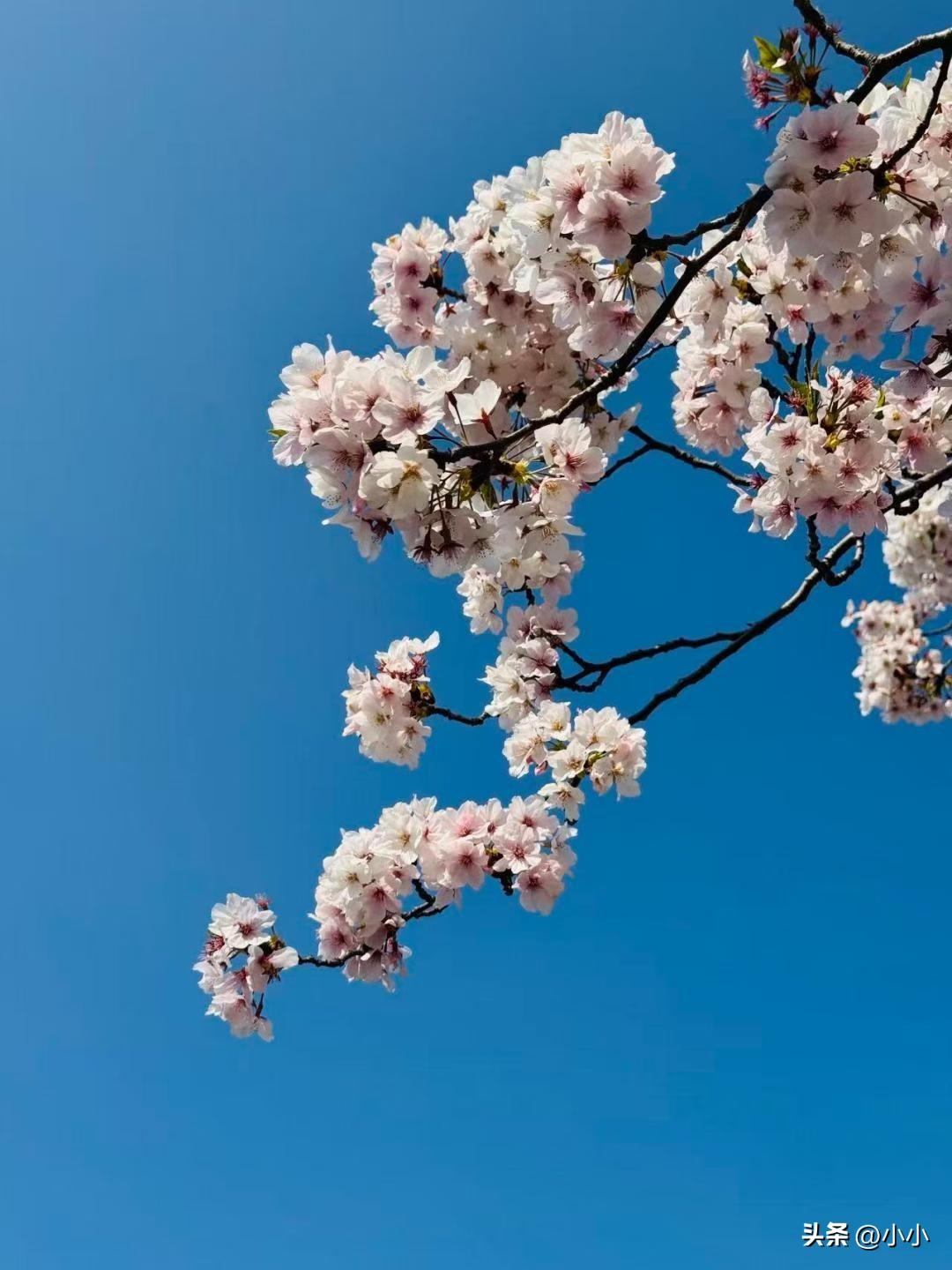 负债后才懂，只有欠过债的人，才懂这种日子有多难熬。
 
背着债、被钱压得喘不过气