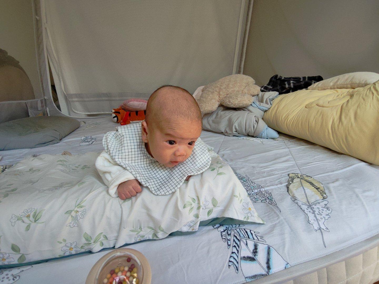 现在这小子抬头抬得可好了