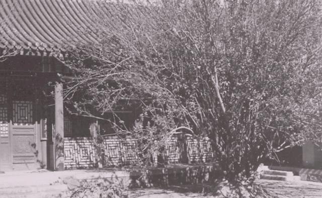 1959年秋，有关部门派人来到吴家花园，邀请彭老总参加国庆十周年大典。彭老总摇了