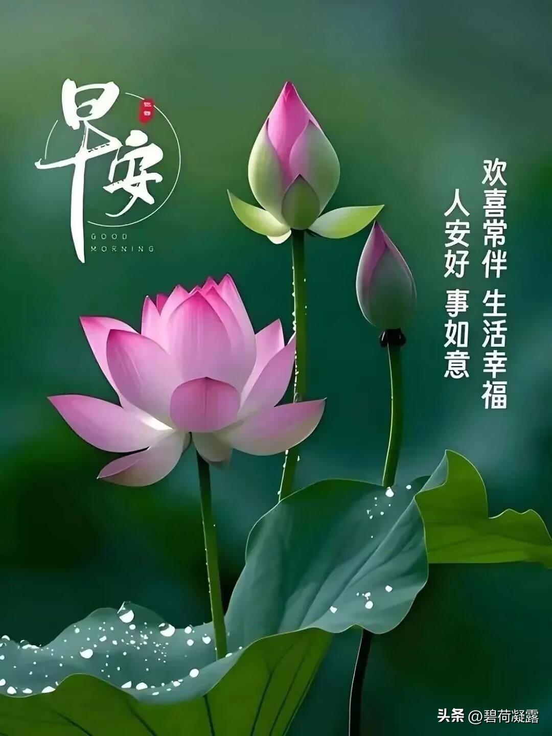 朋友情谊，不会忘记，每天问候，准时开启！早上好！保重身体，安康第一，幸福快乐，万