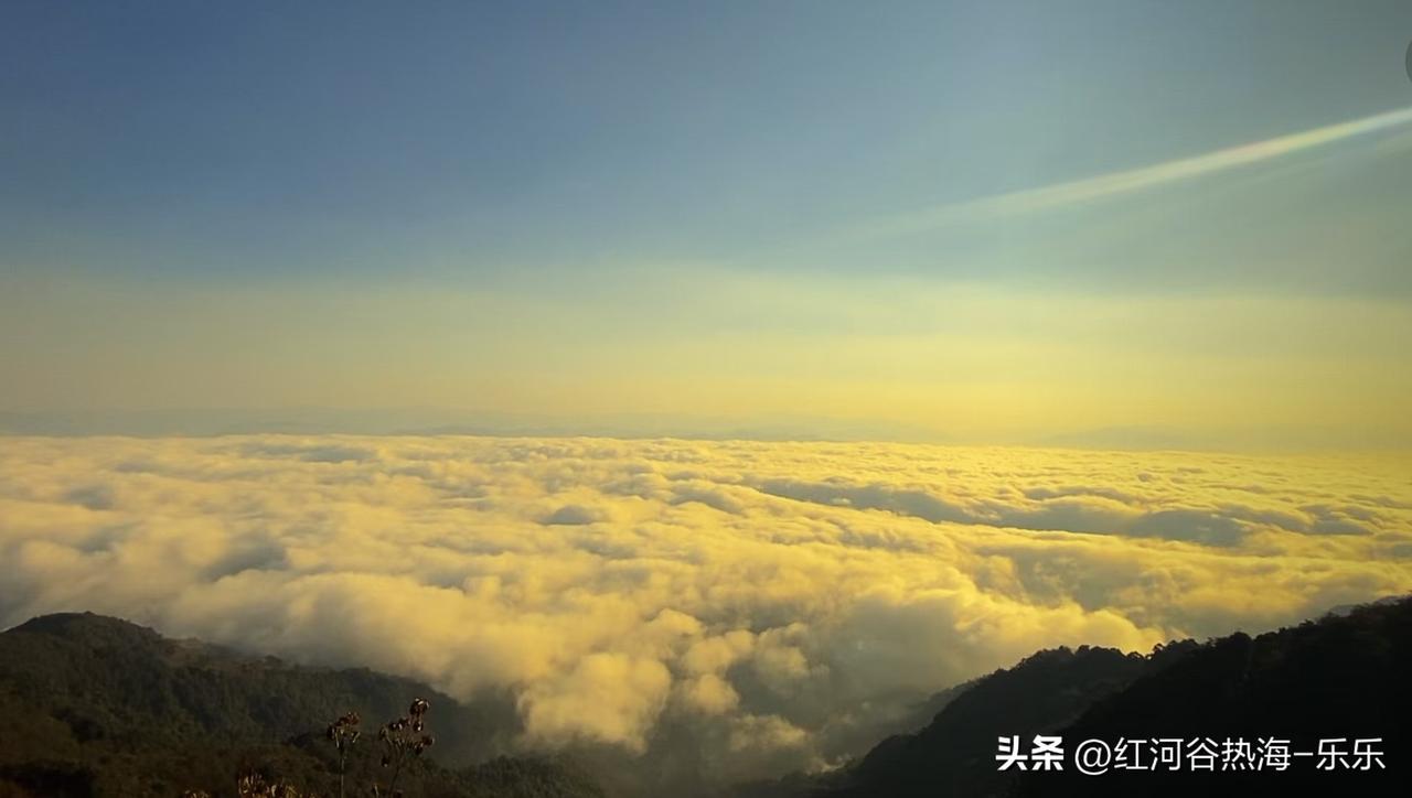 扶弟魔最怕的不是像网上说的那种弟弟嚣张跋扈，各种欺负姐姐，父母还死活非要逼姐姐去