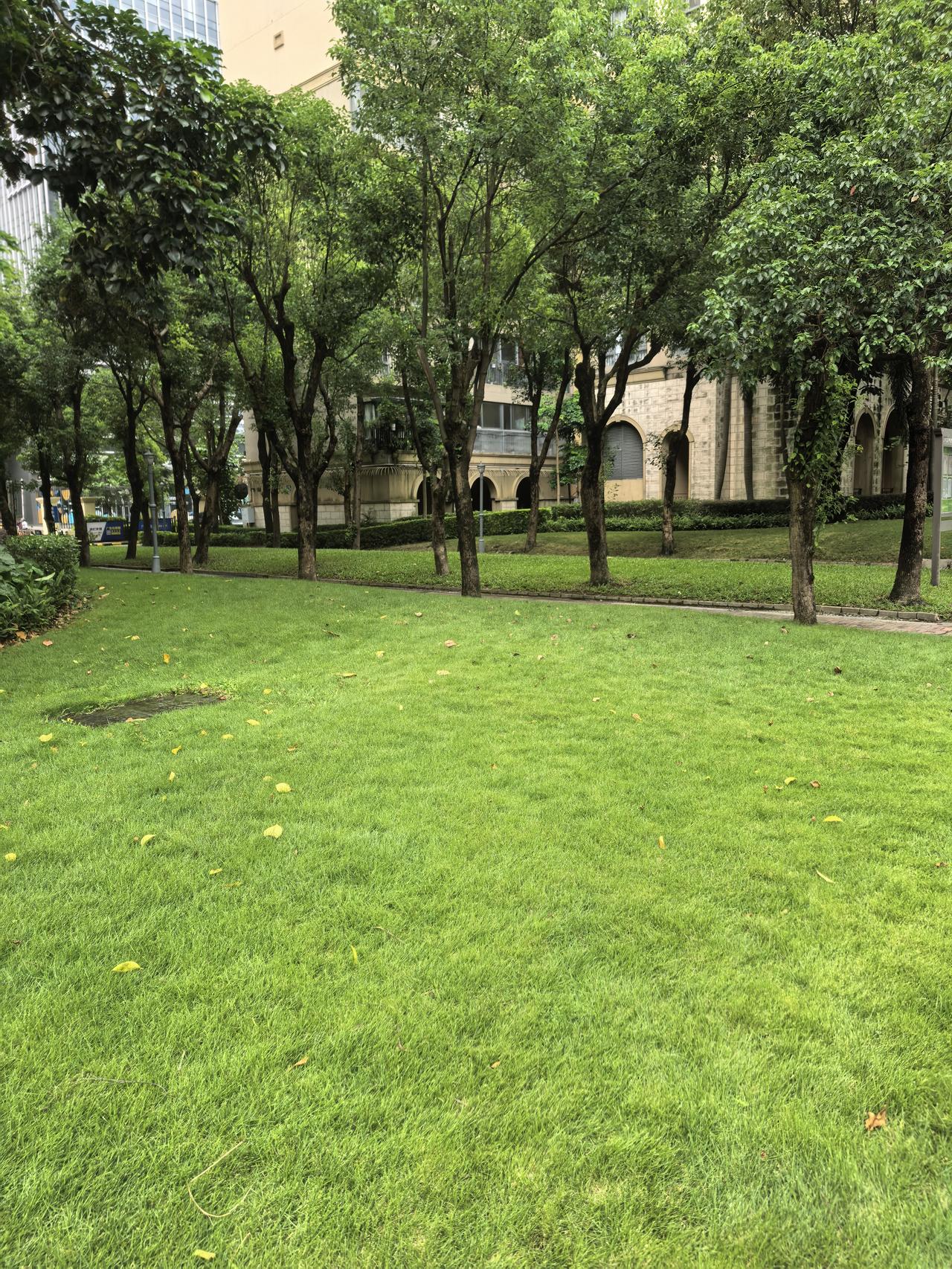 这不是公园，这是我们居住的深圳小区。