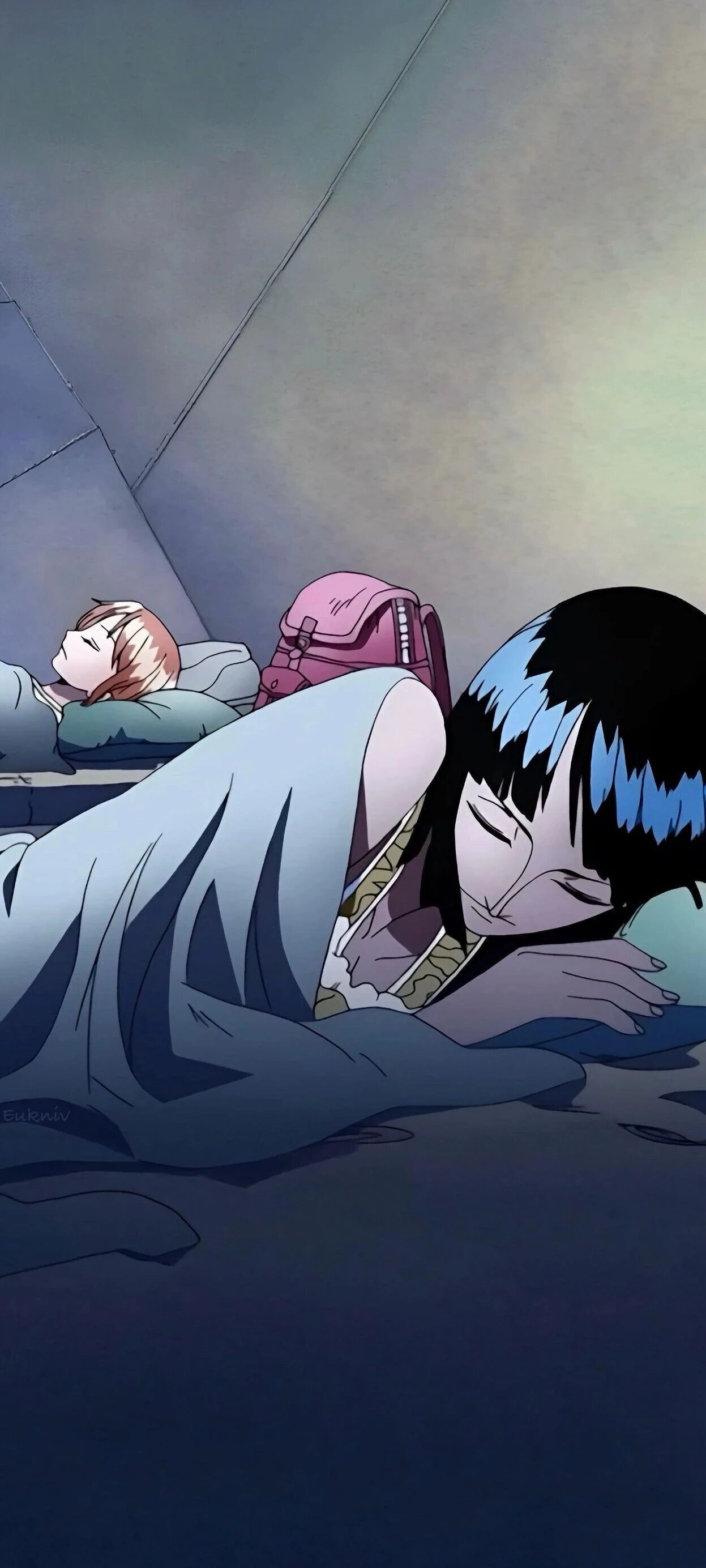 海贼王 罗宾酱和娜美桑，一个侧身睡，一个平躺睡～ 