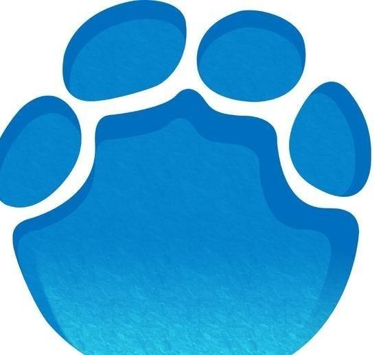 河南泽槿律师事务所律师付建认为，根据《民法典》第一千零五十三条规定，一方患有重大