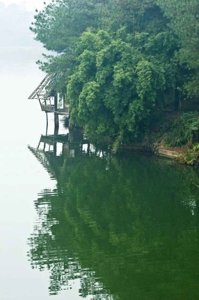 南京的玄武湖为什么没有杭州的西湖名气大游。    从前我以为两大湖景色...