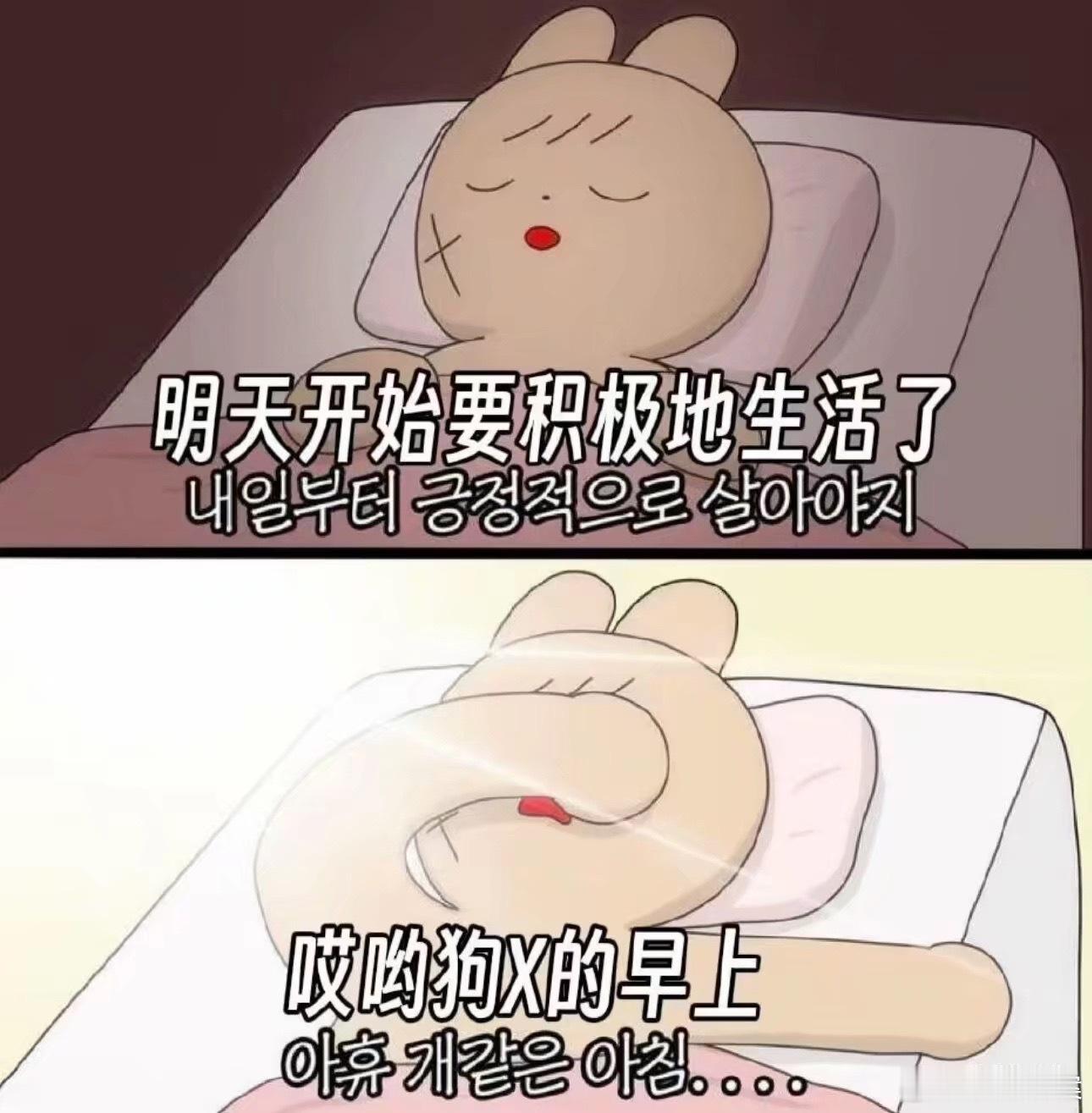 我每天 