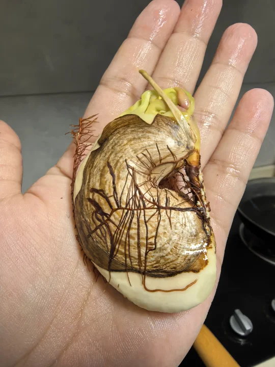 猜猜这是什么？