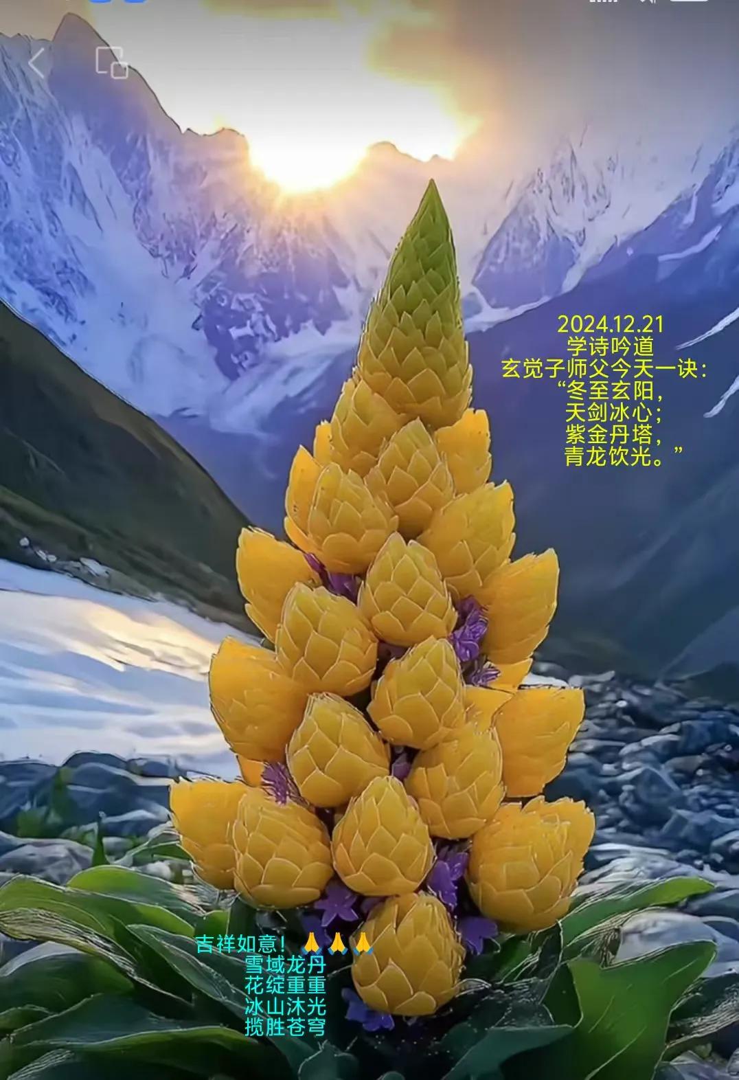 2024.12.21
学诗吟道
玄觉子师父今天一诀：
“冬至玄阳，
天剑冰心;