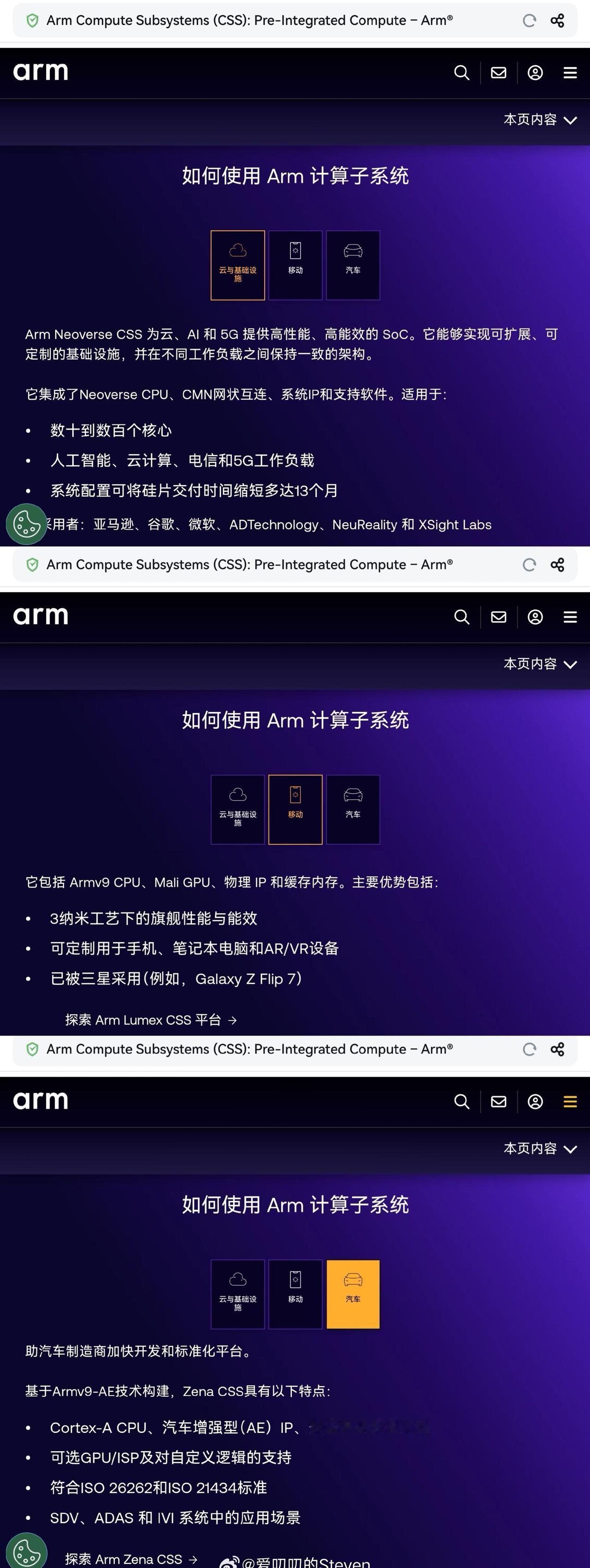 ARM支持帮助合作伙伴定制各类芯片，
AI，云，手机，汽车。
我觉得靠老外短期可