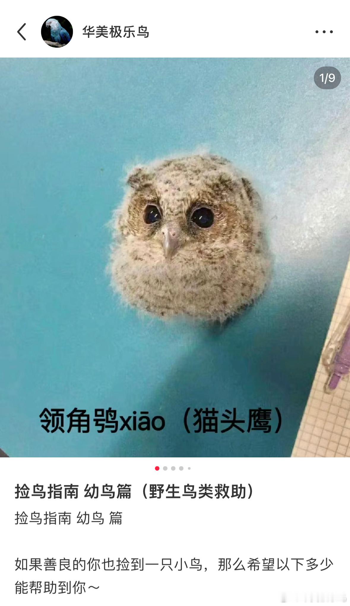 接这条
