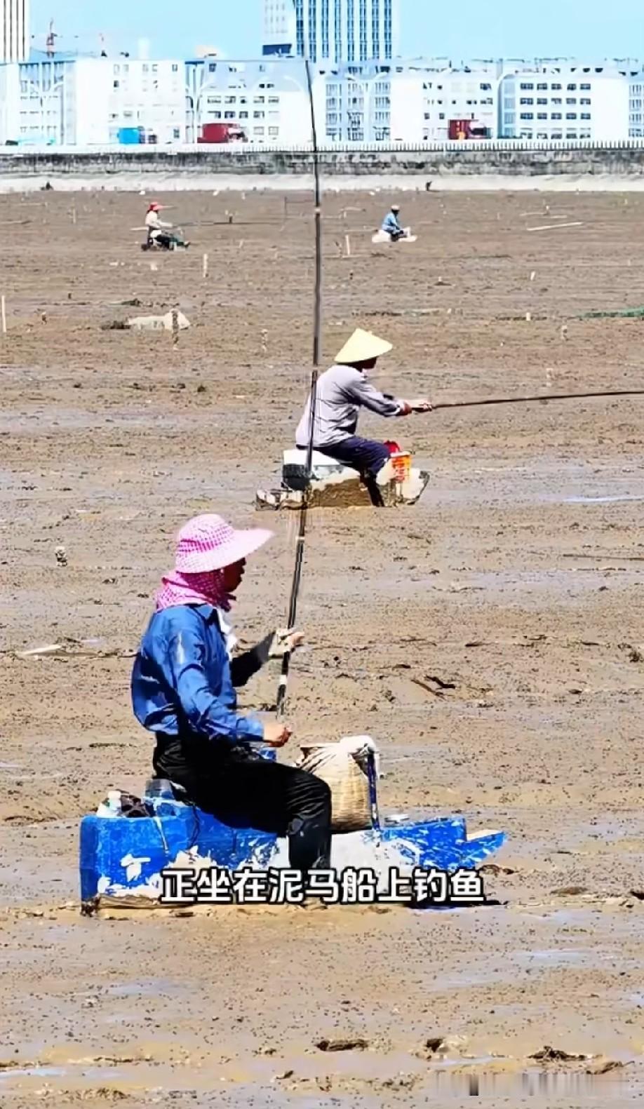 第一次见到泥里钓鱼的[赞]