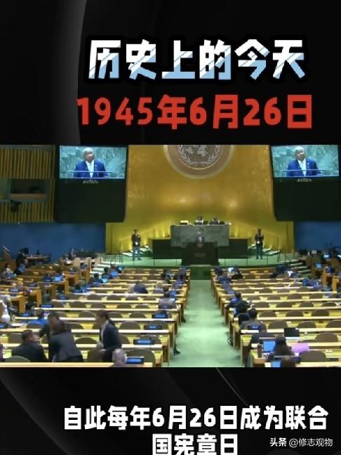 以辱联合国为镜，照见国际秩序之殇
      今天是联合国宪章纪念日，本应是回望