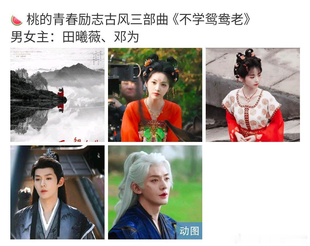 wok，邓为下一部不会真的是不学鸳鸯老吧，怎么参与风月不相关的超话里了，女主好像