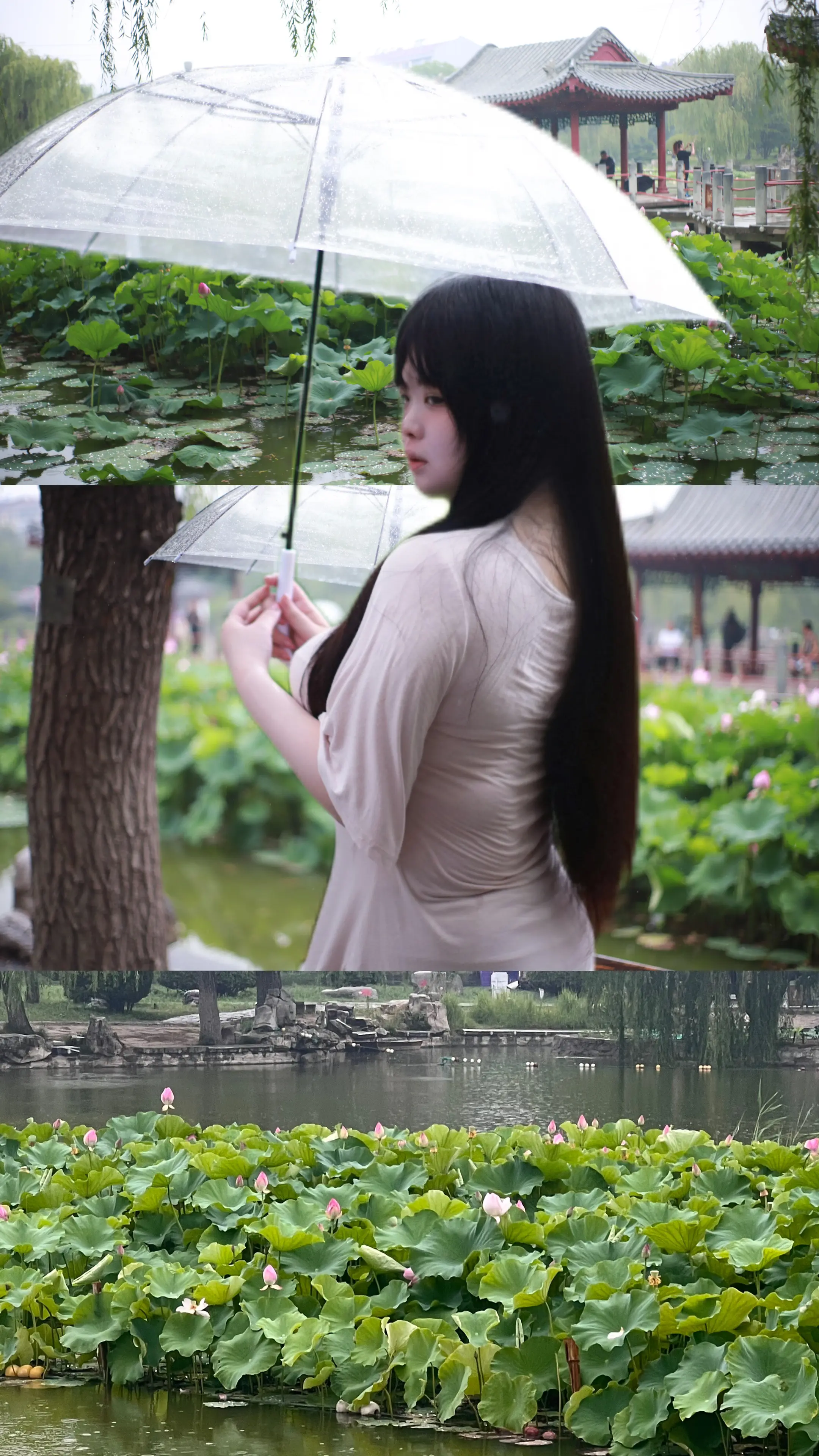 接天莲叶无穷碧