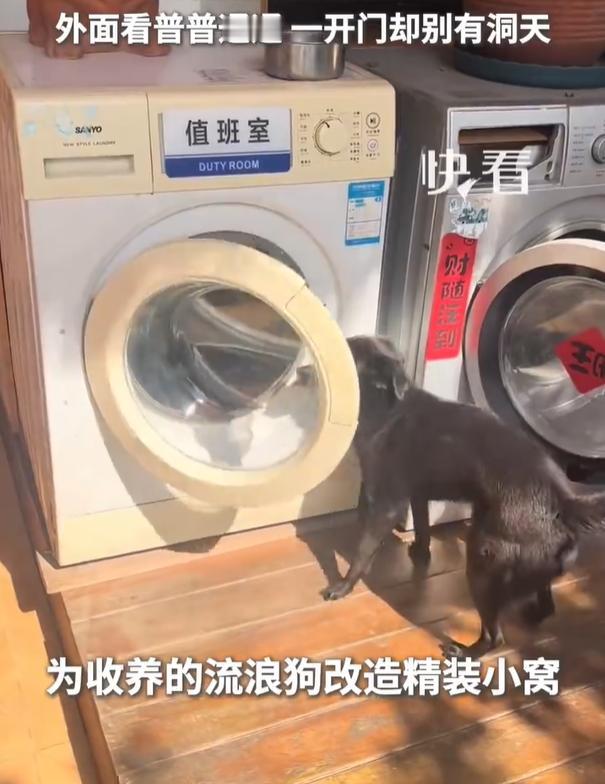 江苏，一男子把家里不用的旧洗衣机改成了狗窝，外面看着普普通通，打开门却完全不一样
