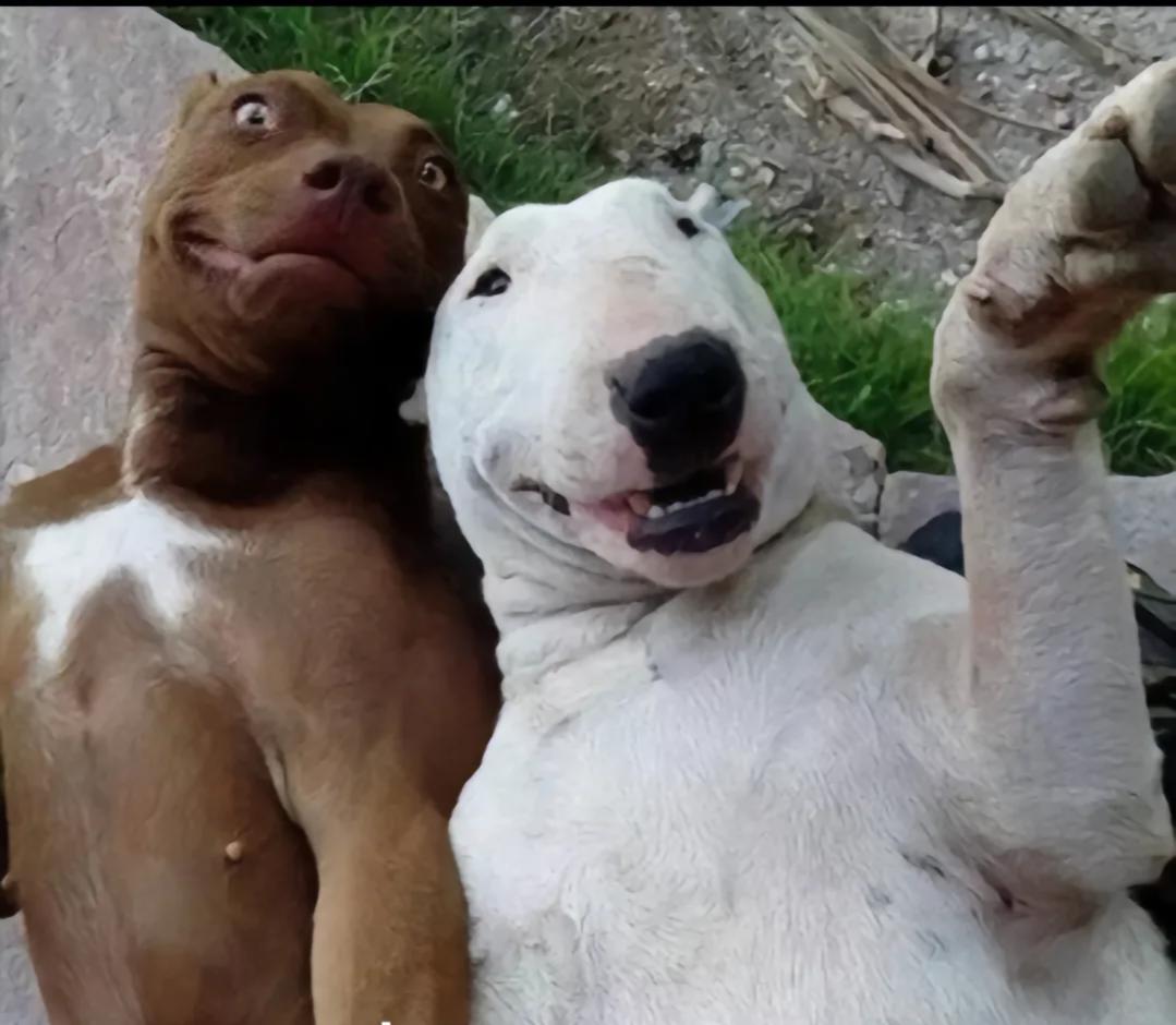 我哥2年前买房的时候，我转了20万给他，说了不着急，慢慢还。

没想到这