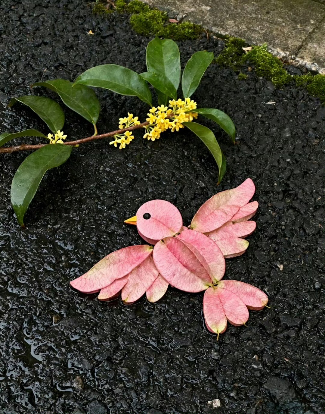 “  拾一片秋，拼一个梦 …  ” ​​​