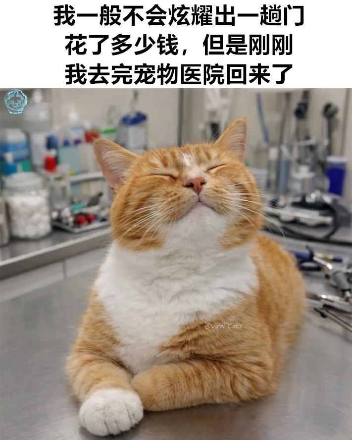 懂我意思（9gag）今日meme今日memes
