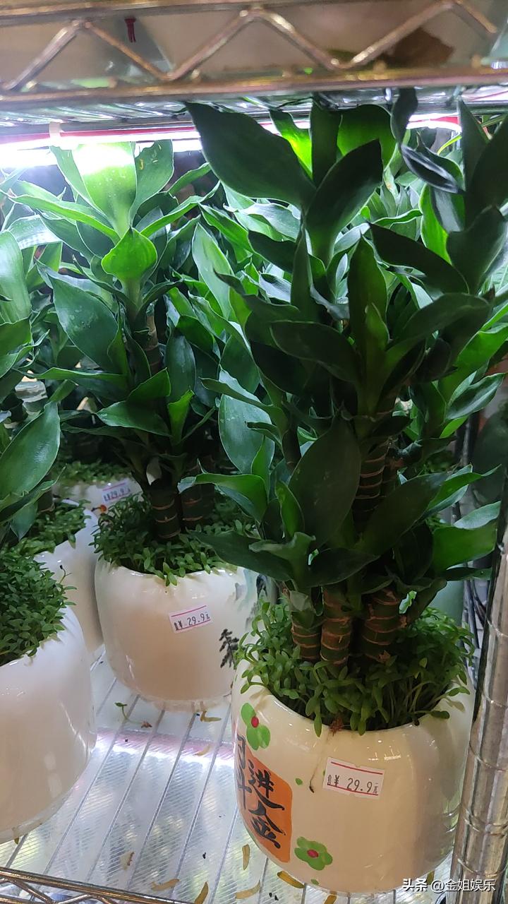 如今院线影片普遍出现口碑两极分化的现象，多重因素共同造成观众评价差异。
首先是观