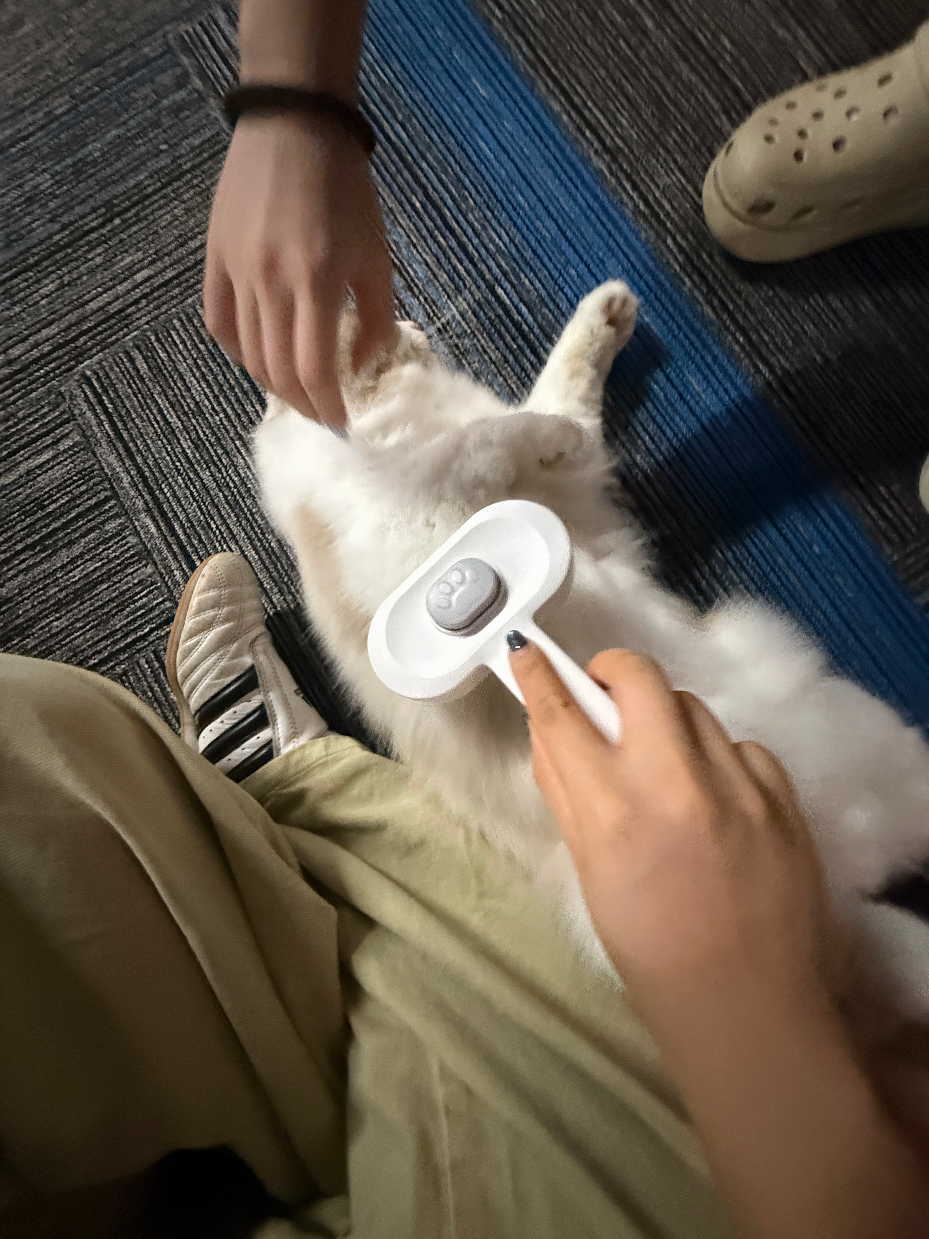 这课你就上吧 ​​​
