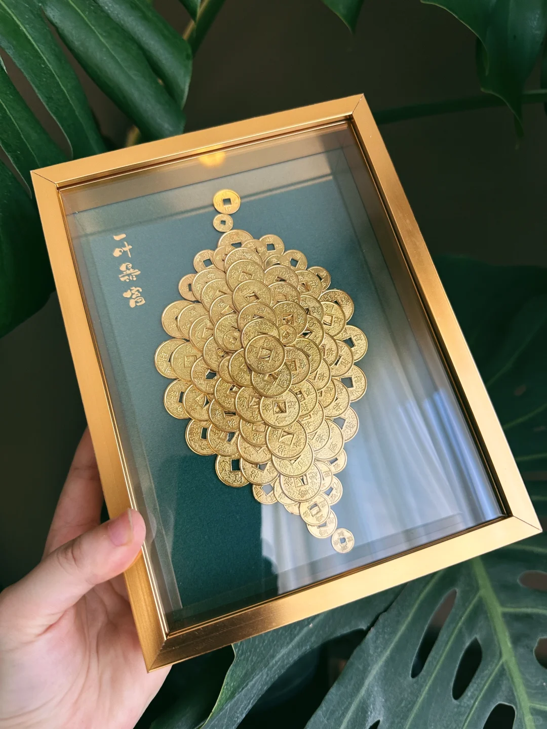 如果你能看到它！说明想一叶暴富的不止我一