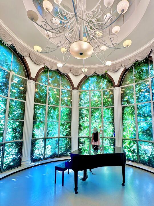 以为南京已经够美了！直到去了…live合集😭