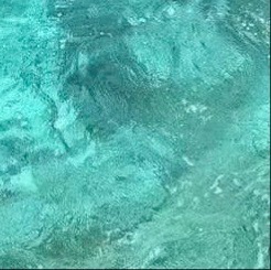 每日一善 生活大多平淡普通，而善意是平淡日子里最好的点缀，坚持每日一善，放下计较