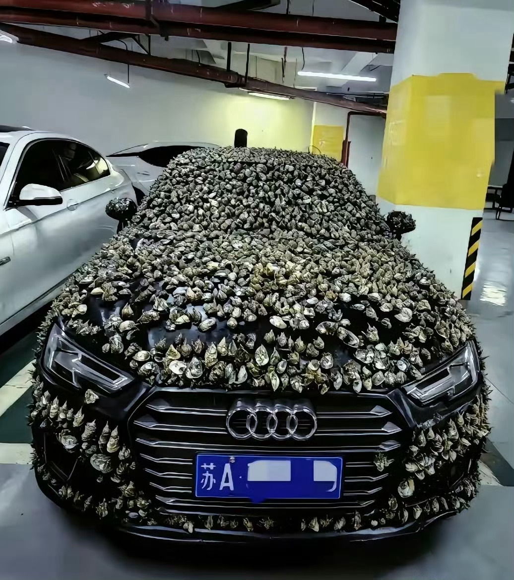 我敲，这不得直接犯密恐 