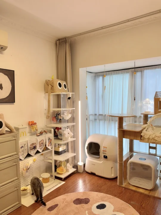 别猫有的宠物房🏠我的小猫也要有❗️❗️
