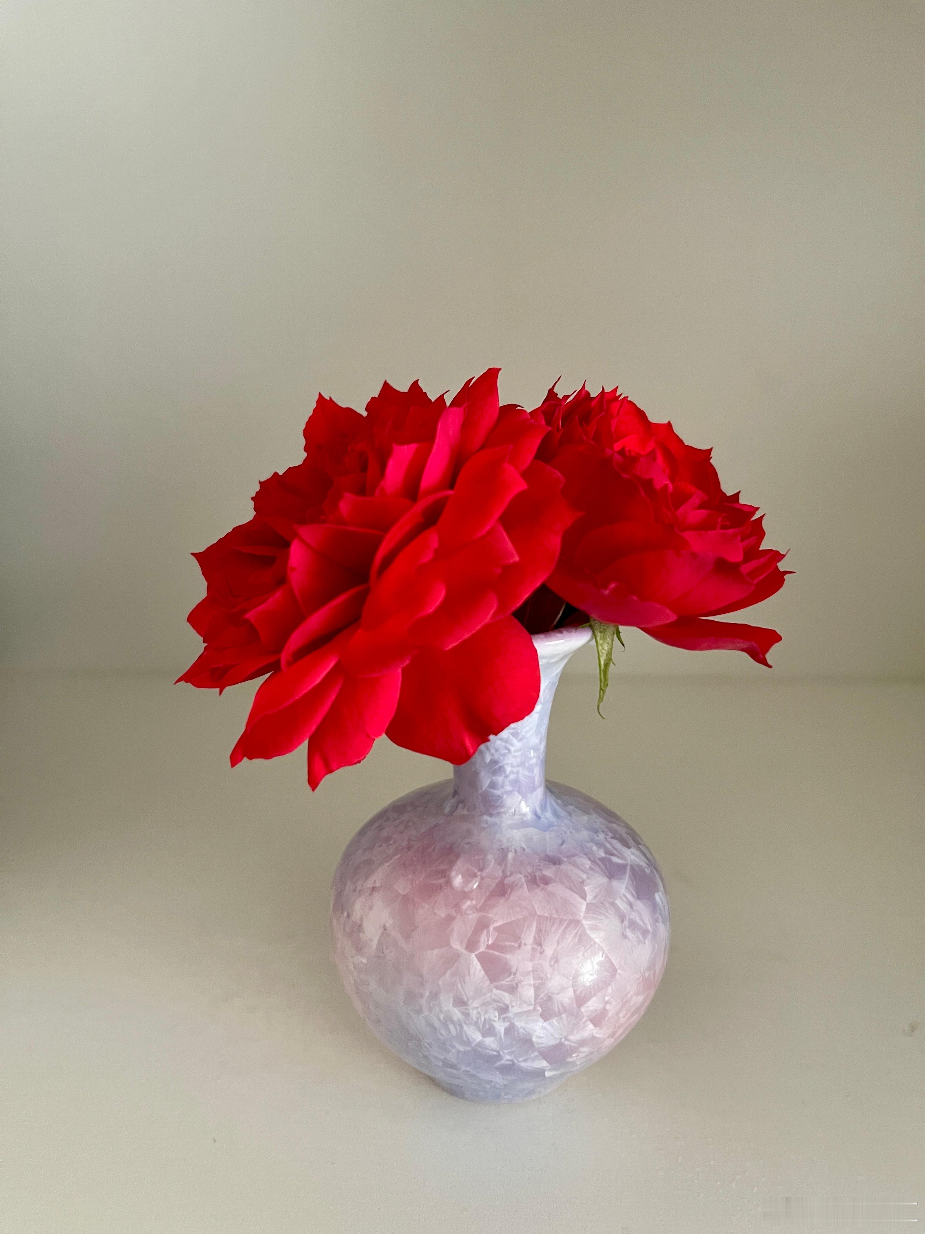 兰生幽谷中，倒影还自照。无人作妍暖，春风发微笑。——倪瓒木末芙蓉花，山中发红萼。