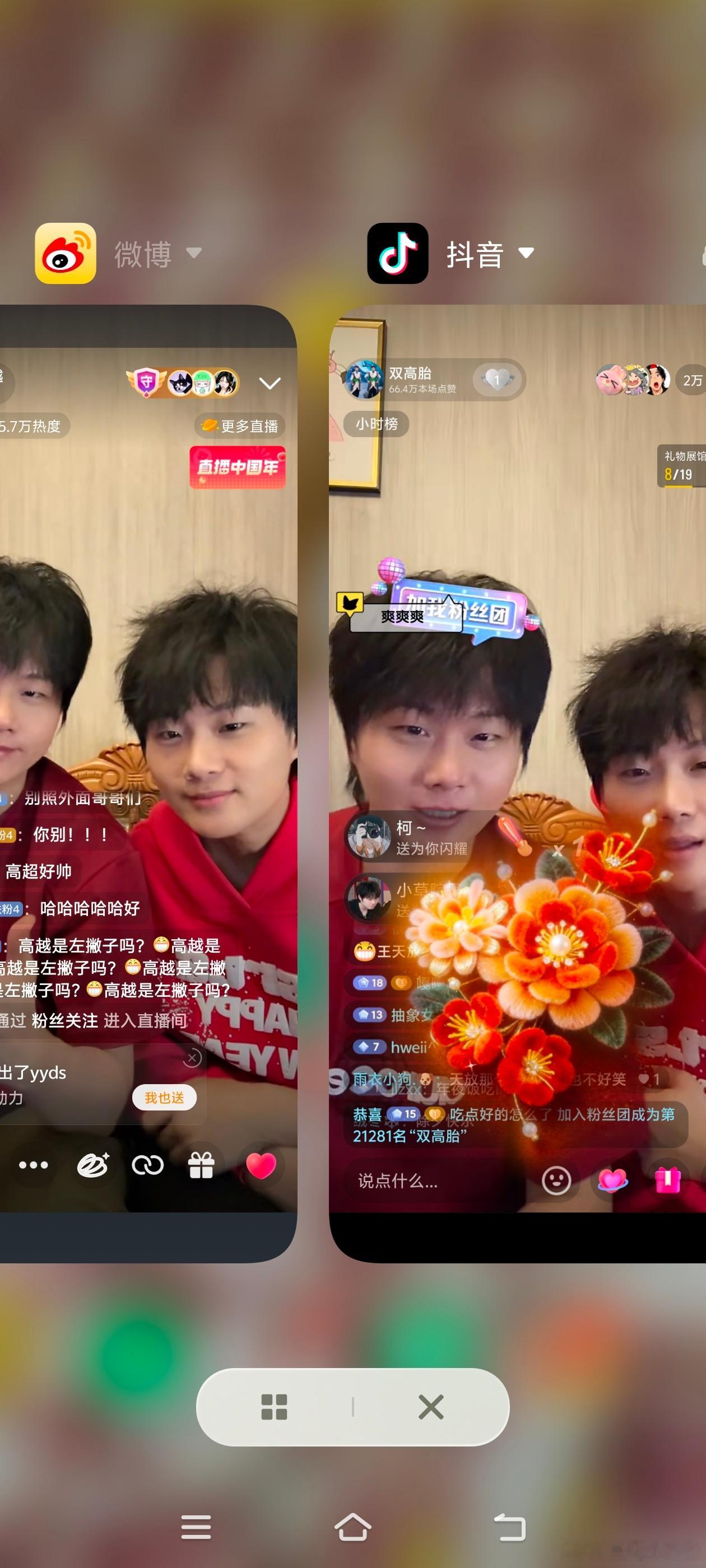 双高胎 新年快乐！