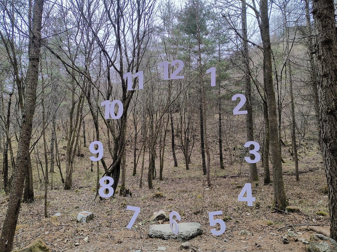 时间
|椛尘埃

你若，好好搜索你的记忆
记忆中并未发现我的容颜
这世间万物，总