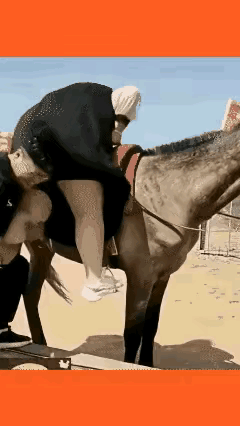 这么大个体格，动作也不是很敏捷，为什么要参与这样的活动？从这么高的上面掉下来，摔